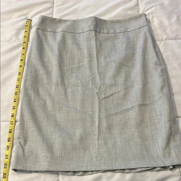 Elegant Gray The Limited Skirt NWT - Picture 1 of 5